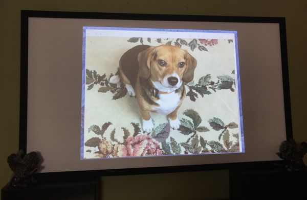 benq_projector_lucy