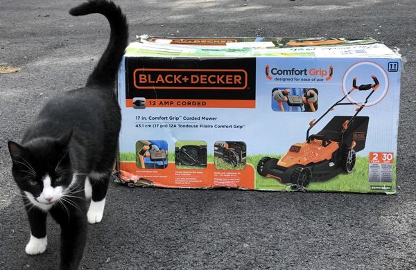 black_decker_electric_mower_cat_box
