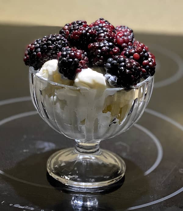 lello_musso_pola_ice_cream_machine vanilla_frozen_yogurt
