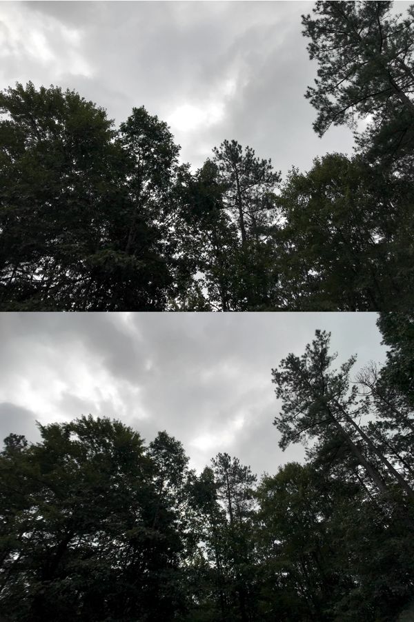 sirui_smartphone_wide_angle_lens_trees_comparison